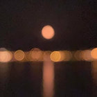 californiagang thumbnail