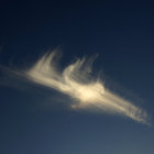 fallstreak_ thumbnail