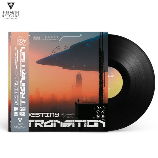 未使用 Decay - Destiny / レコード 遷移TRANSITION | 暗闇DESTINY | Hiraeth Records