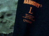 Harmony (Puffy) Logo Hoodie photo 