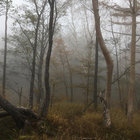 morning29 thumbnail