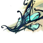 myrtus thumbnail