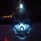 herrbaer thumbnail