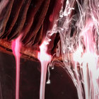 Chronotropic thumbnail