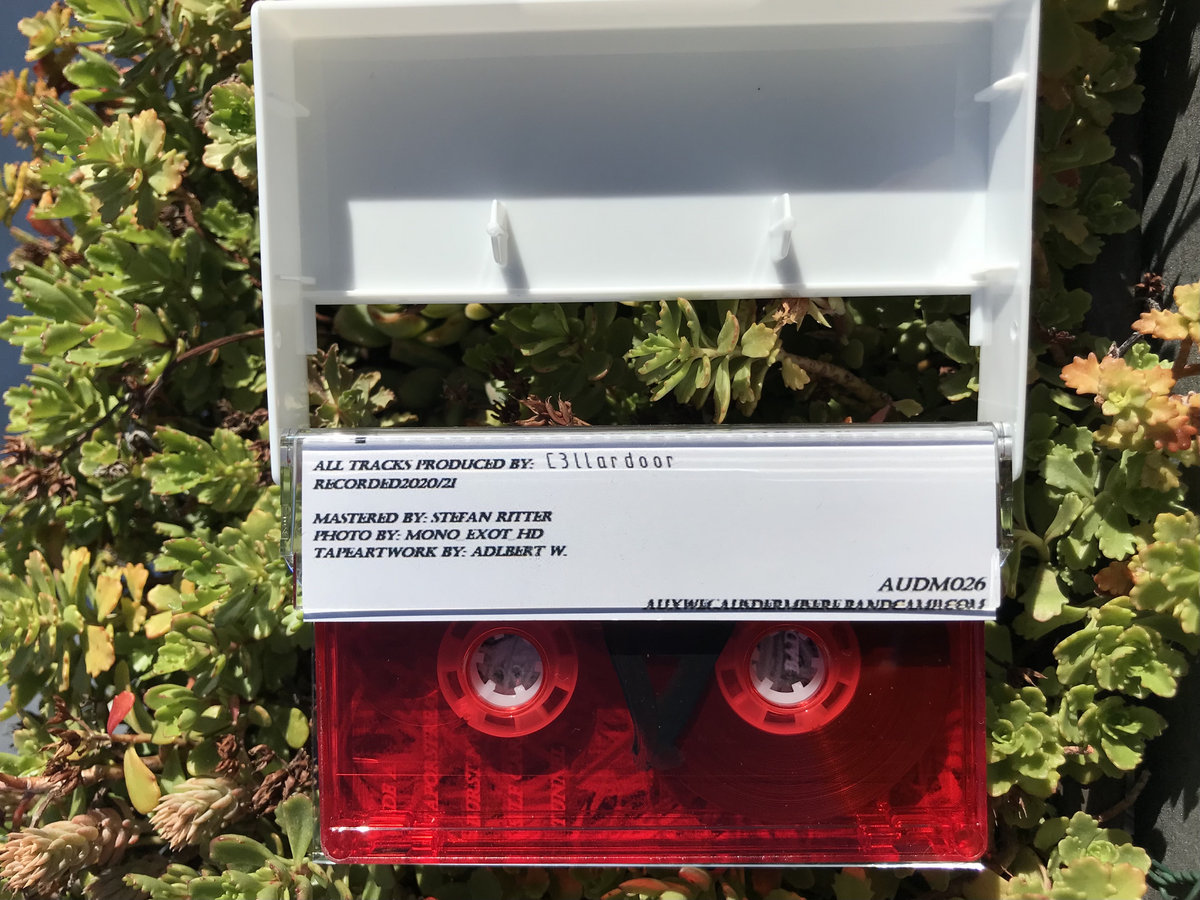 DEBUG LIFE | C3LLARDOOR | AUXWEGAUSDERMISERE