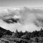 Reflections | Laura Allan with Paul Horn | The Fact Of Being