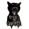 Bred In Captivity image