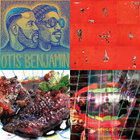 Hollinndagain | Animal Collective