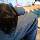 billy christopher thumbnail