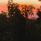 martyn_pasch thumbnail