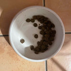 Humphreys thumbnail