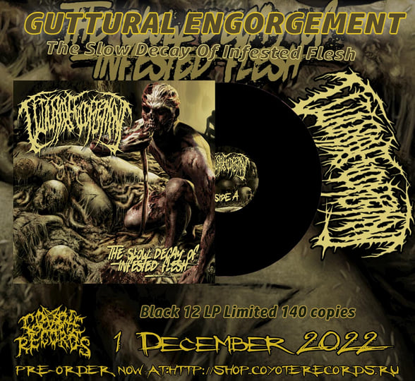 The Slow Decay Of Infested Flesh | Guttural Engorgement