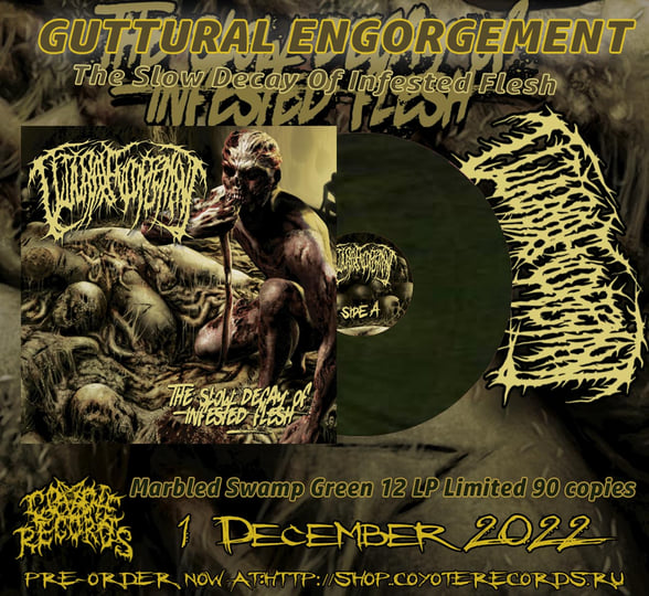 The Slow Decay Of Infested Flesh | Guttural Engorgement