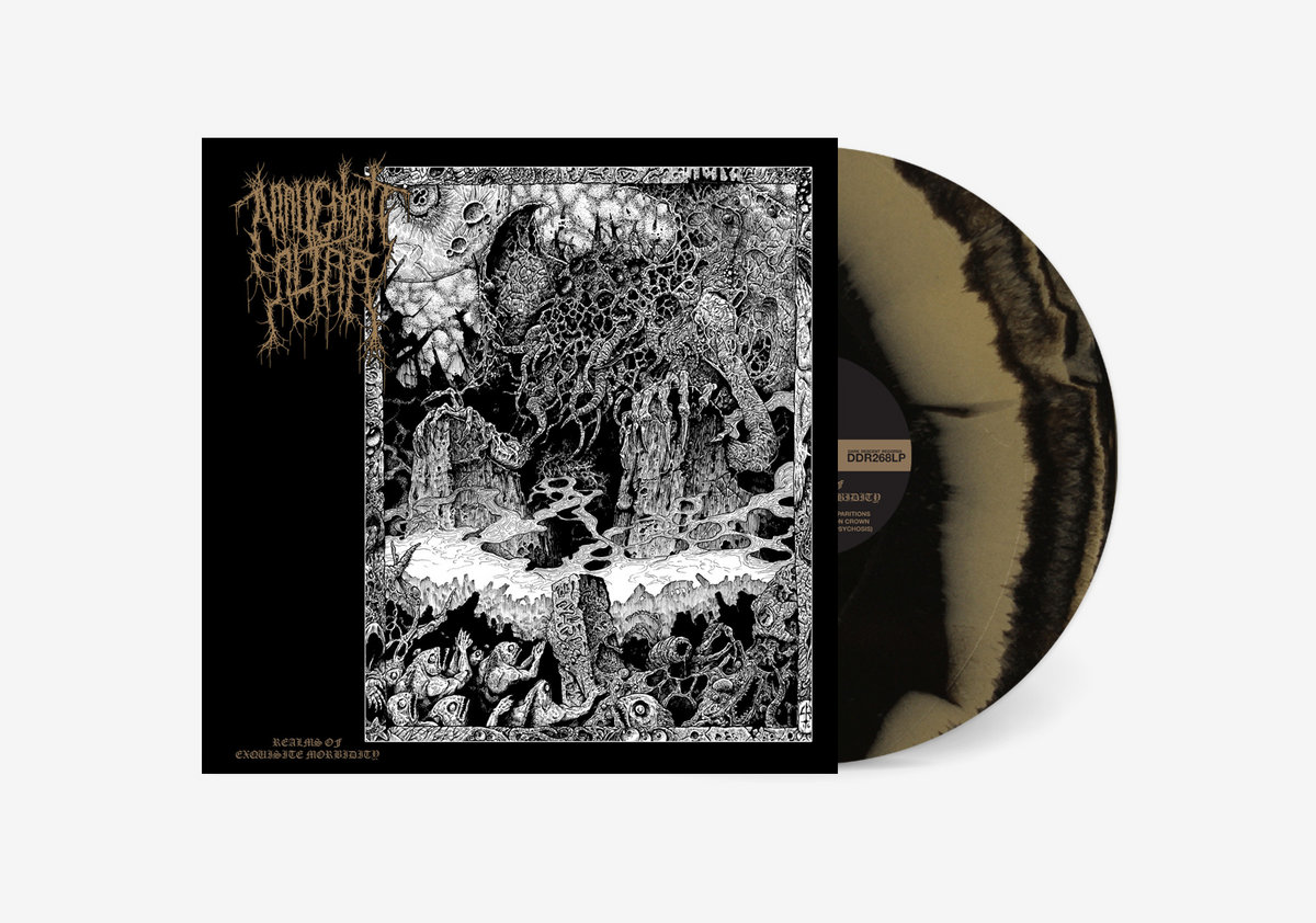 MESSIAH SACRED ORDER 片桐由摩 CARNELIAN MESSIAH SACRED ORDER 片桐由摩 CARNELIAN Castlevania: Order