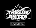 Triglav Records image