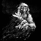 deathmetalation thumbnail