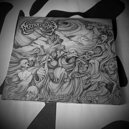 Into The Gloom Of The Buried Valley | Necrofagore | Viking Digital