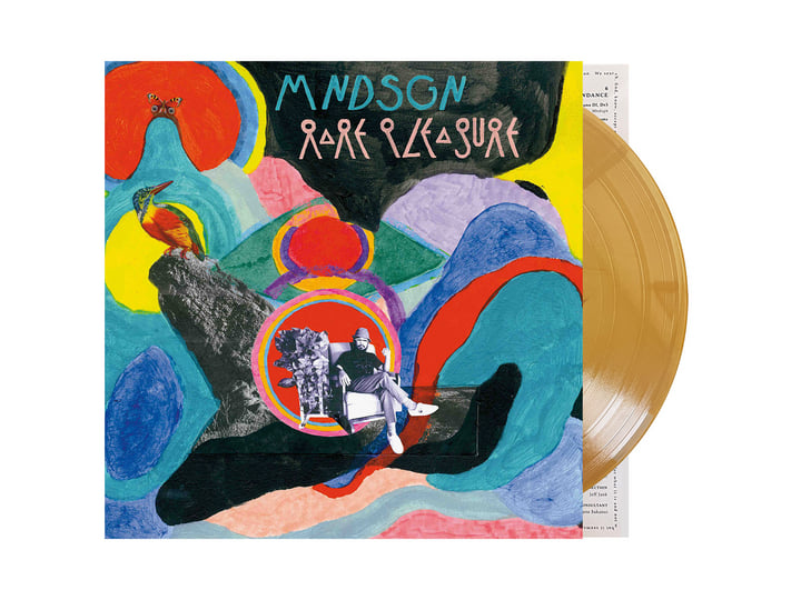 Rare Pleasure | Mndsgn.