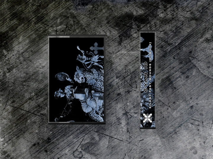 Silent Past Wounds | Ćyan ID | X-IMG