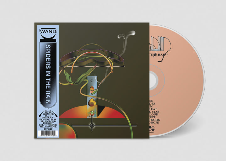 米2LP Wand Spiders In The Rain DC785 Drag City 未開封 /00520 Spiders in the Rain | Wand