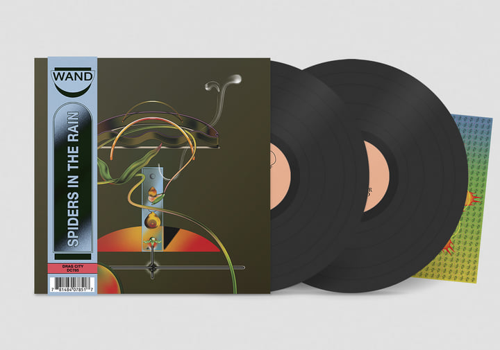 米2LP Wand Spiders In The Rain DC785 Drag City 未開封 /00520 Spiders in the Rain | Wand