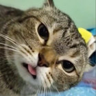 ponce2 thumbnail