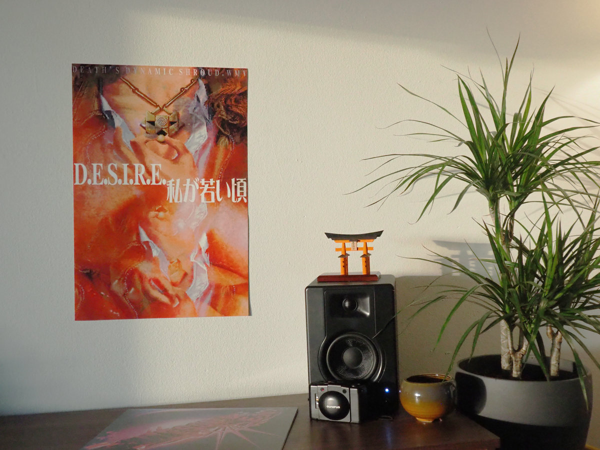 D​.​E​.​S​.​I​.​R​.​E​.​私が若い頃 Poster (13
