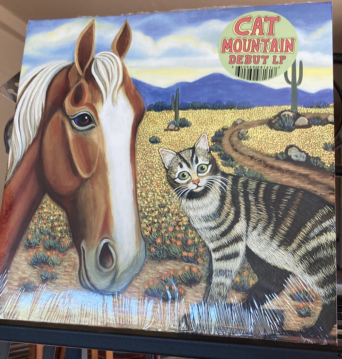 Cat Mountain 12