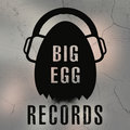 Big Egg Records image