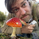 joepahl thumbnail