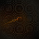 Human Interphase (Hear&Now.FM) thumbnail