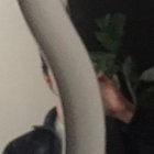 basilm thumbnail