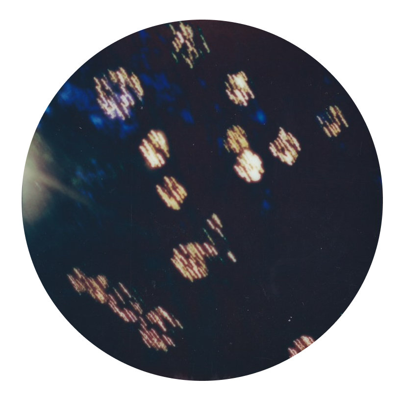 Back From The Dead Vol. 2 (LSD011) | Various Artists | Lake