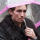 wolfves thumbnail