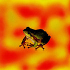 scumm_666 thumbnail