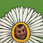 gunther666 thumbnail