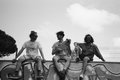Beach Bugs image
