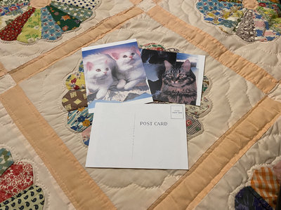 "Summer of the Cat's Eye" postcards set main photo