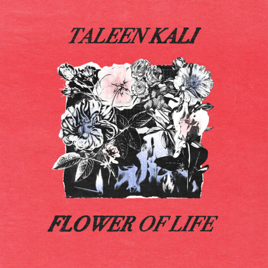 Flower Of Life [LP] | Taleen Kali