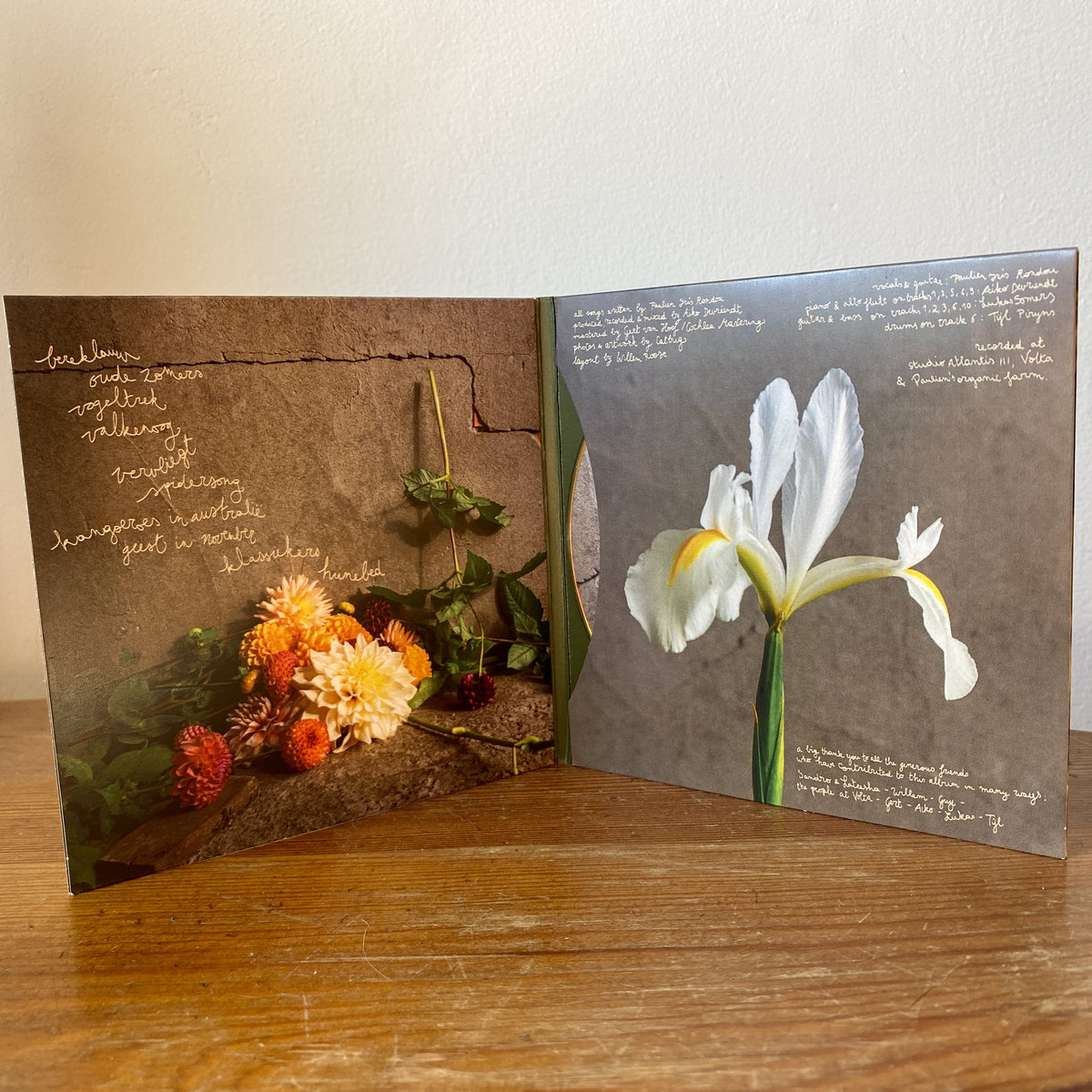 Catbug – slapen onder een hunebed – Vinyl (LP, Album, Stereo