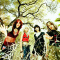 Doll Riot — Photo