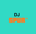 DJ SPUR™ image