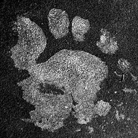 Music Nine Nude Hippies