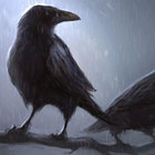 anon052 thumbnail