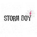 Storm Boy image