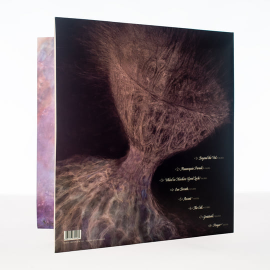 Beyond the Veil | iNFiNiEN