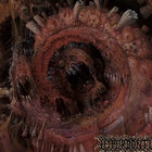 Metalofmadness965 thumbnail