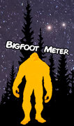 Bigfoot Meter image