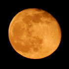 jivasakti thumbnail