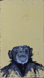 Merch | Tim Ridley Artist